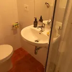 カントリーハウス Podere Il Doccio *
