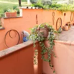 Podere Il Doccio * テッラヌオーヴァ・ブラッチョリーニ